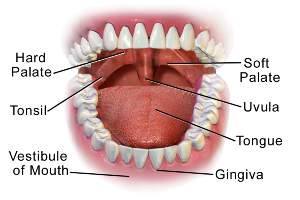 Resized Image