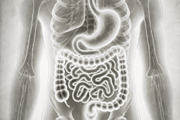 Resized Image