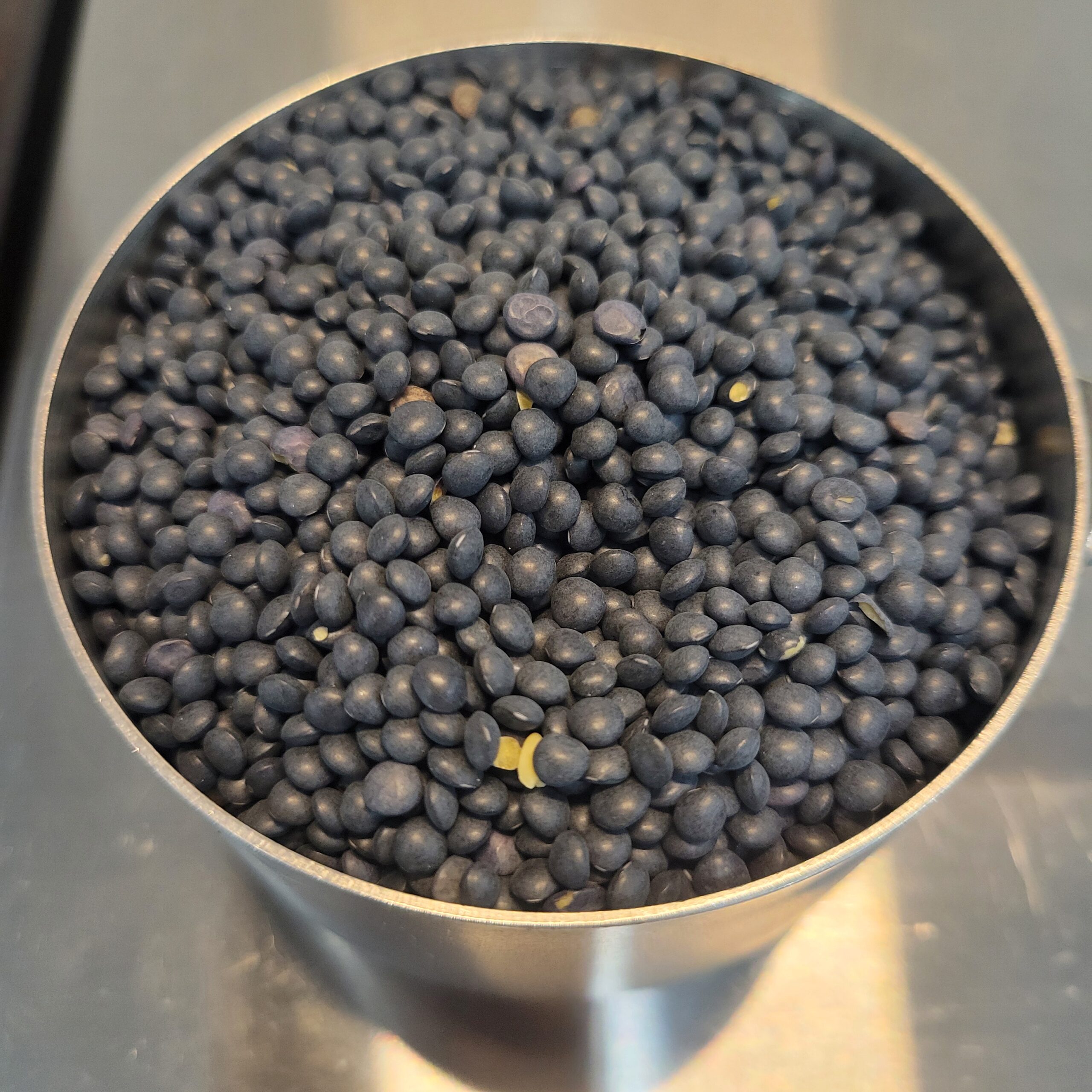 Beluga Lentils